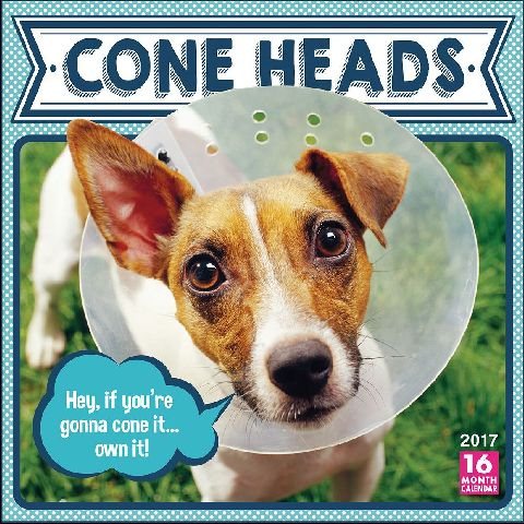 Cone Heads 2017 Calendar(Wall)