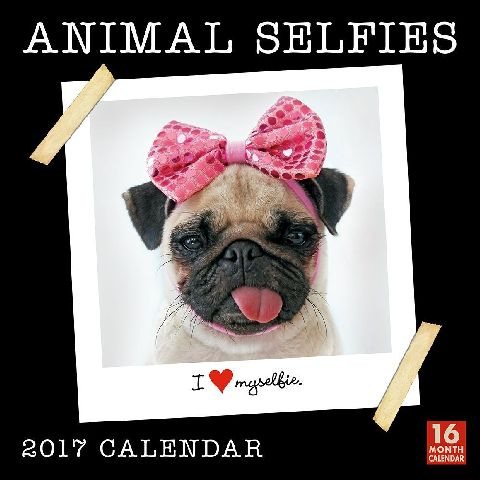 Animal Selfies 2017 Calendar(Wall)
