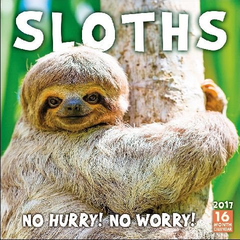 Sloths 2017 Calendar(Wall)