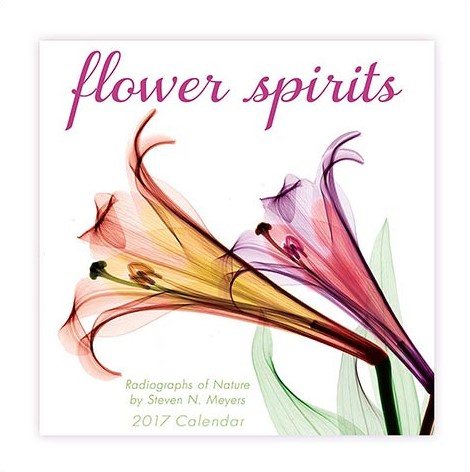 Flower Spirits 2017 Calendar