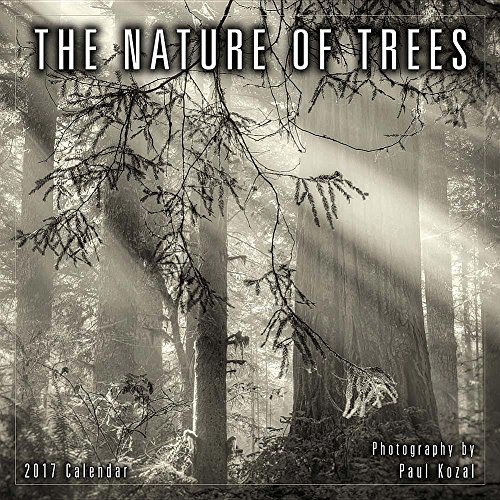 The Nature of Trees 2017 Calendar