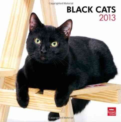 Black Cats 2013 Calendar