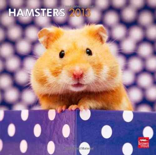 Hamsters 2013 Calendar