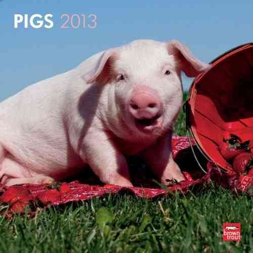 Pigs 2013 Calendar
