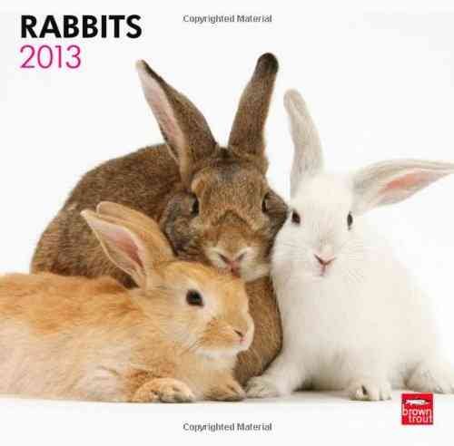 Rabbits 2013 Calendar