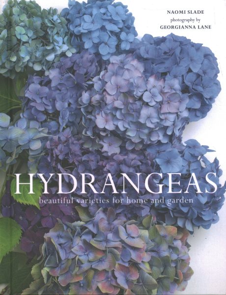 Hydrangeas【金石堂、博客來熱銷】