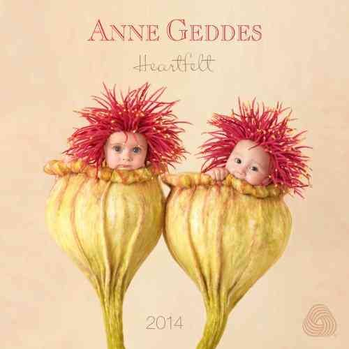 Anne Geddes 2014 Calendar(Wall)