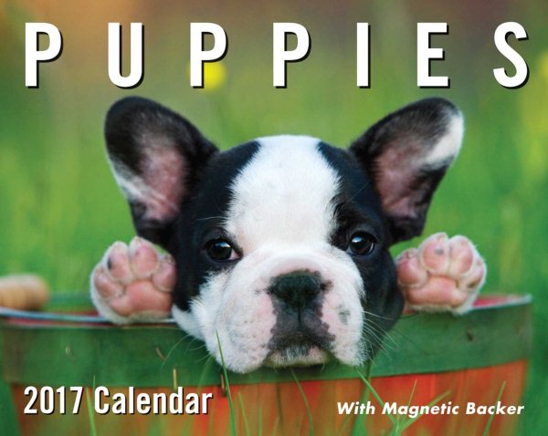 Puppies 2017 Calendar