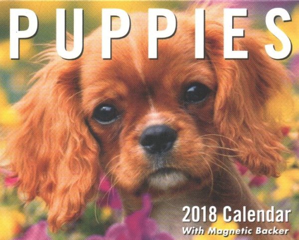 Puppies 2018 Calendar