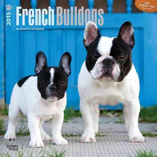 French Bulldogs 18-Month 2015 (Wall)