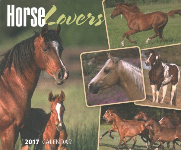 Horse Lovers 2017 Calendar