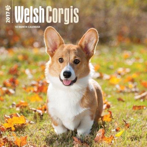 Welsh Corgis 2017 Calendar(Wall)
