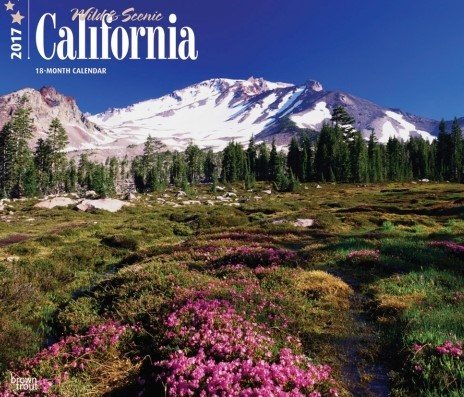 California, Wild & Scenic 2017 Calendar