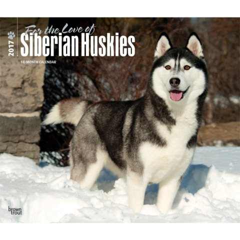 Siberian Huskies, for the Love of 2017 Calendar