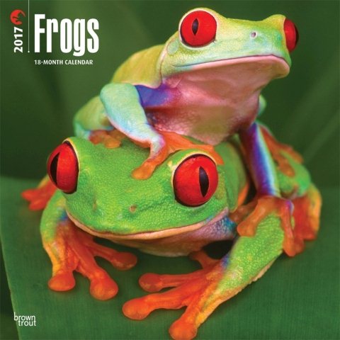 Frogs 2017 Calendar(Wall)