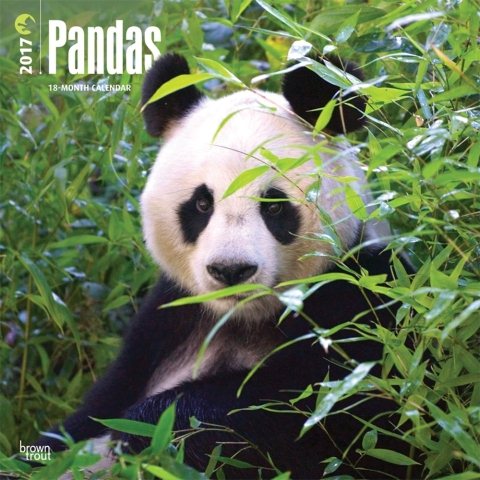 Pandas 2017 Calendar(Wall)