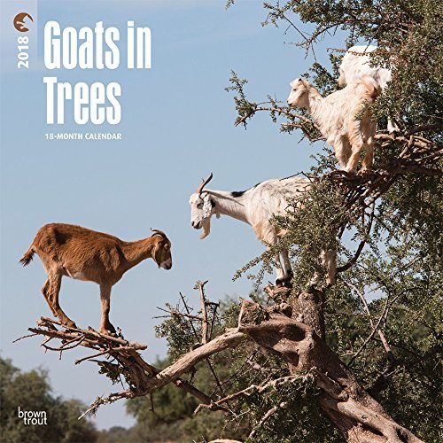 Goats in Trees 2018 Calendar(Wall)