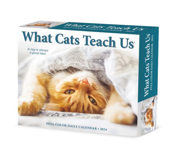 What Cats Teach Us 2024 6.2 X 5.4 Box Calendar【金石堂、博客來熱銷】