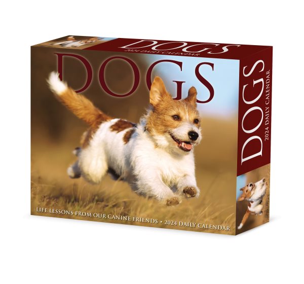 Dogs 2024 6.2 X 5.4 Box Calendar【金石堂、博客來熱銷】