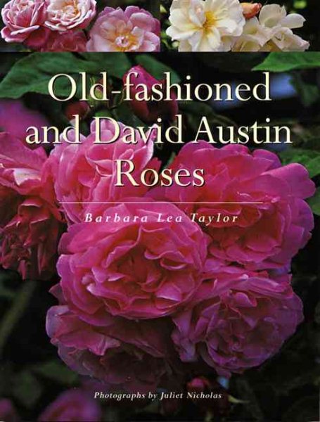 Old-Fashioned and David Austin Roses