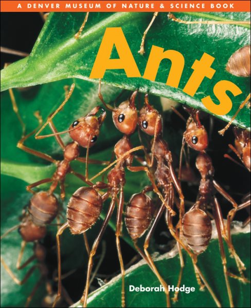 Ants【金石堂、博客來熱銷】