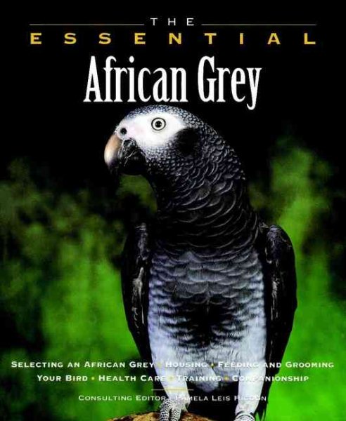The Essential African Grey