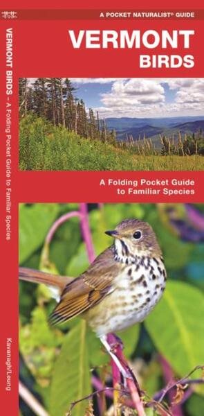 Vermont Birds: An Introduction to over 140 Familiar Species (Pocket Naturalist S