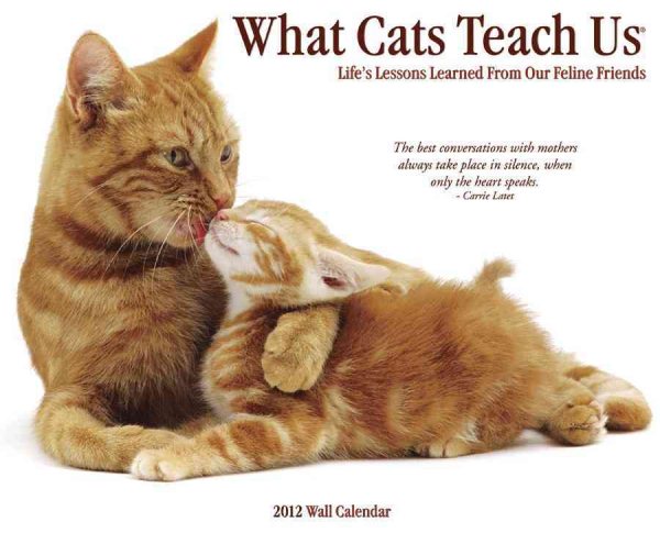 What Cats Teach Us 2012 Calendar