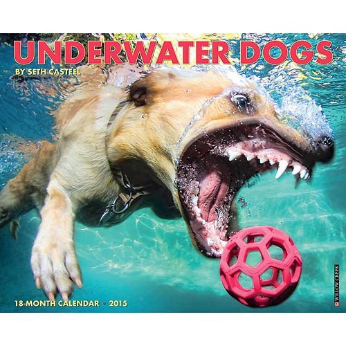 Underwater Dogs 2015 Calendar(Wall)