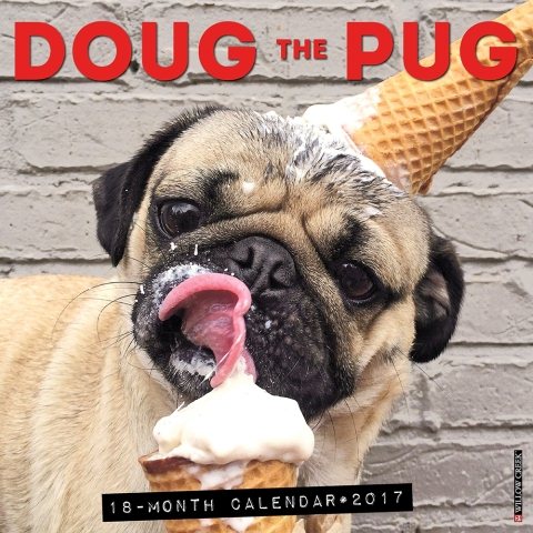 Doug the Pug 2017 Calendar(Wall)