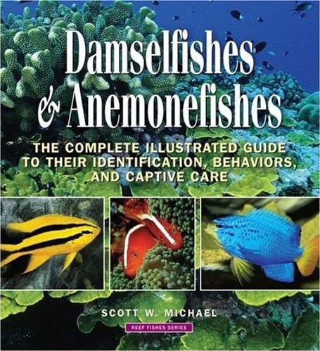 Damselfishes & Anemonefishes
