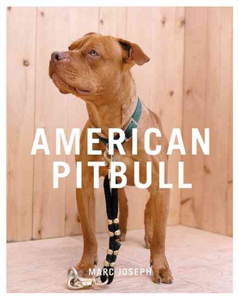 American Pitbull