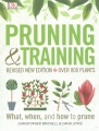 Pruning & training