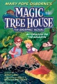 Magic tree house. [graphic novel] 6, Afternoon on the Amazon : the graphic novel