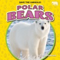 Polar bears