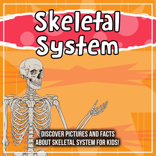 skeletal system for kids without label