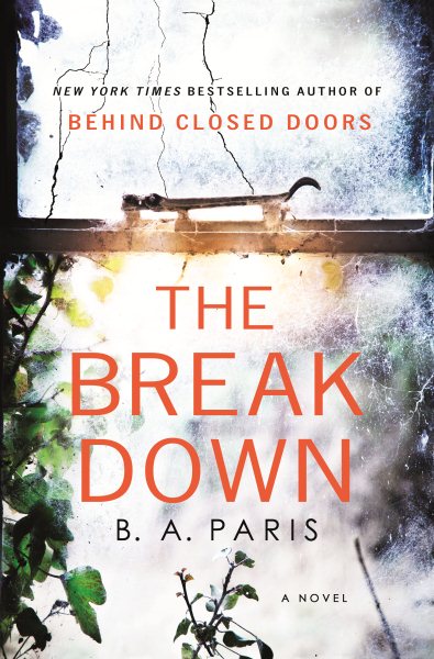 Breakdown book cover