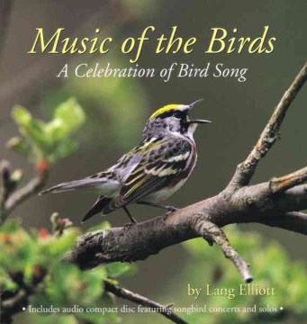 Music of the Birds: A Celebration of Bird Song