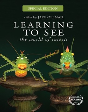 Learning to see - the world of insects