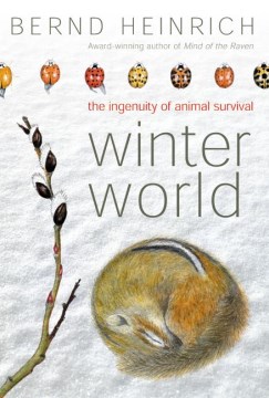 Winter world : the ingenuity of animal survival