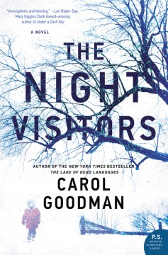 The night visitors : a novel
