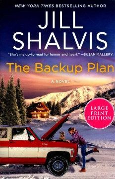 The backup plan - a novel