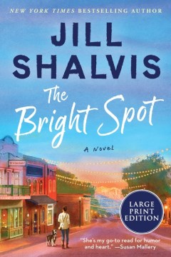 The bright spot - a novel