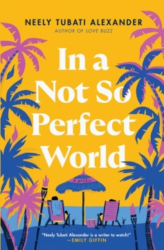 In a not-so-perfect world - a novel