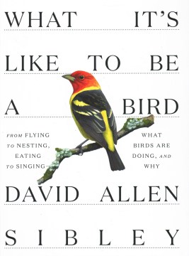 What It's Like to be a Bird: From Flying to Nesting, Eating to Singing -- What Birds are Doing, and Why