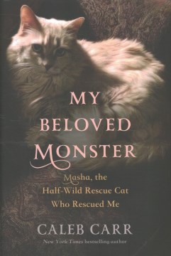 My Beloved Monster - Masha, the Half-wild Rescue Cat Who Rescued Me