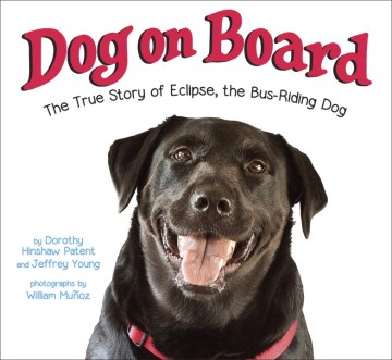 Title - Dog on Board