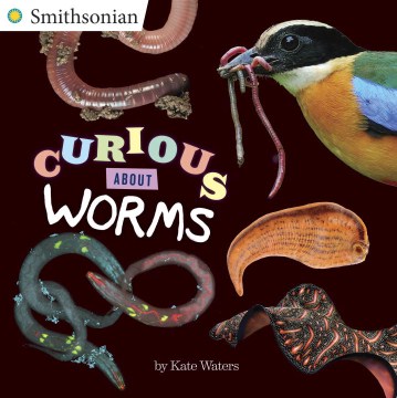 Title - Curious About Worms