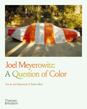 Joel Meyerowitz - a question of color