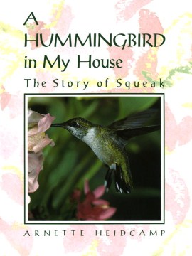 A hummingbird in my house - the story of Squeak